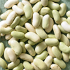 Flageolet-Bean-Seeds-for-sale